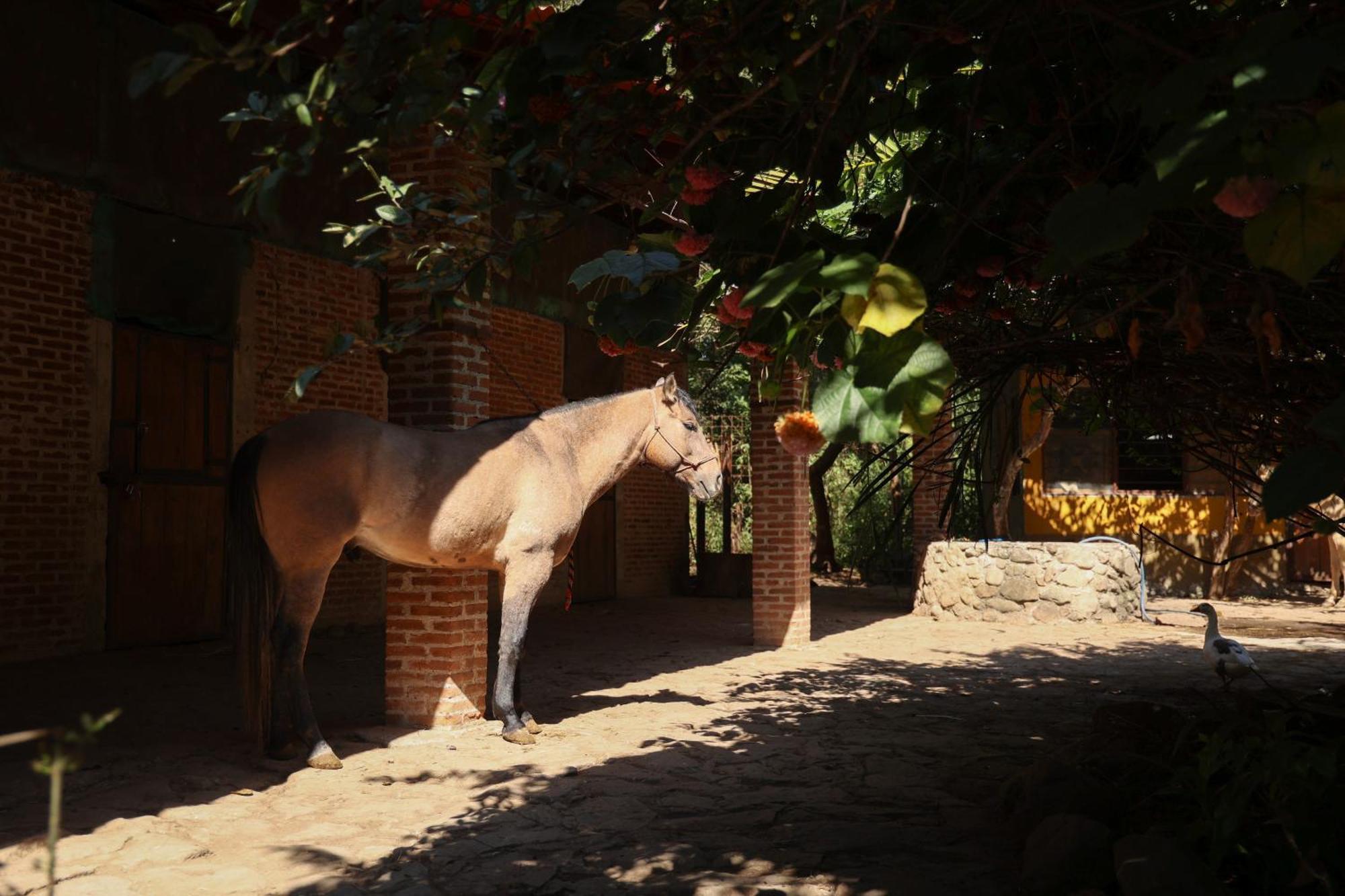 Rancho Reencuentro Eco Hotel & Cabalgatas Valle de Bravo Luaran gambar